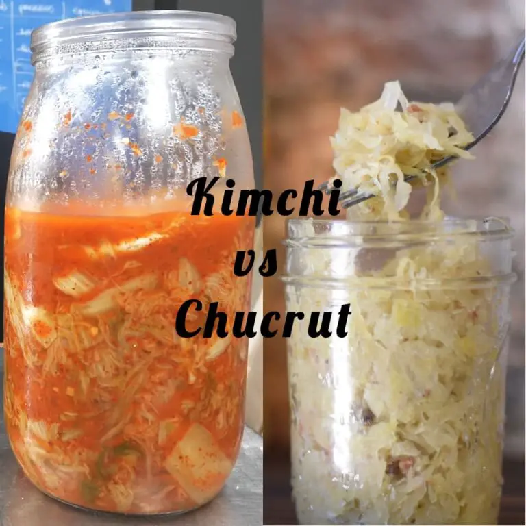 Relaci N Entre El Kimchi Vs Chucrut Todo Kombucha