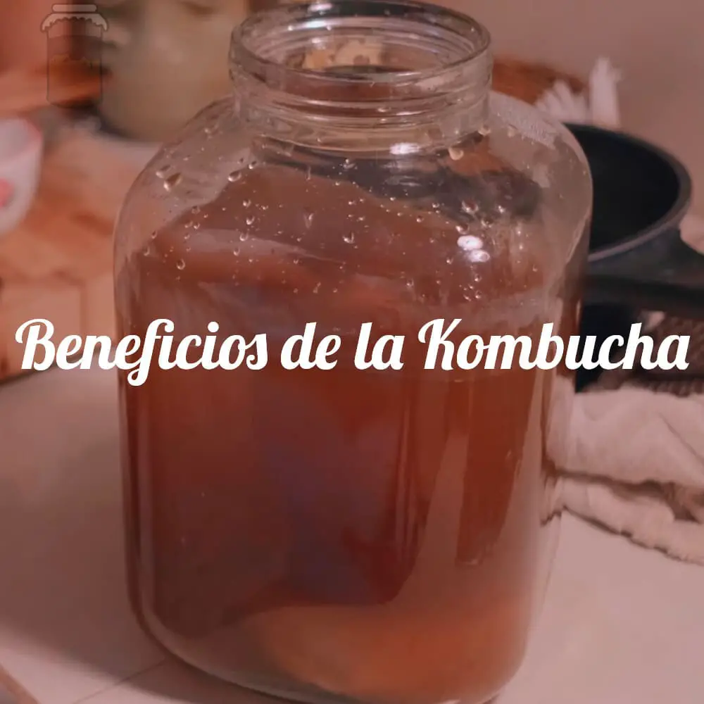 Beneficios de la kombucha