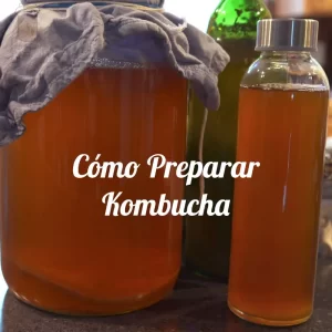 Como preparar kombucha