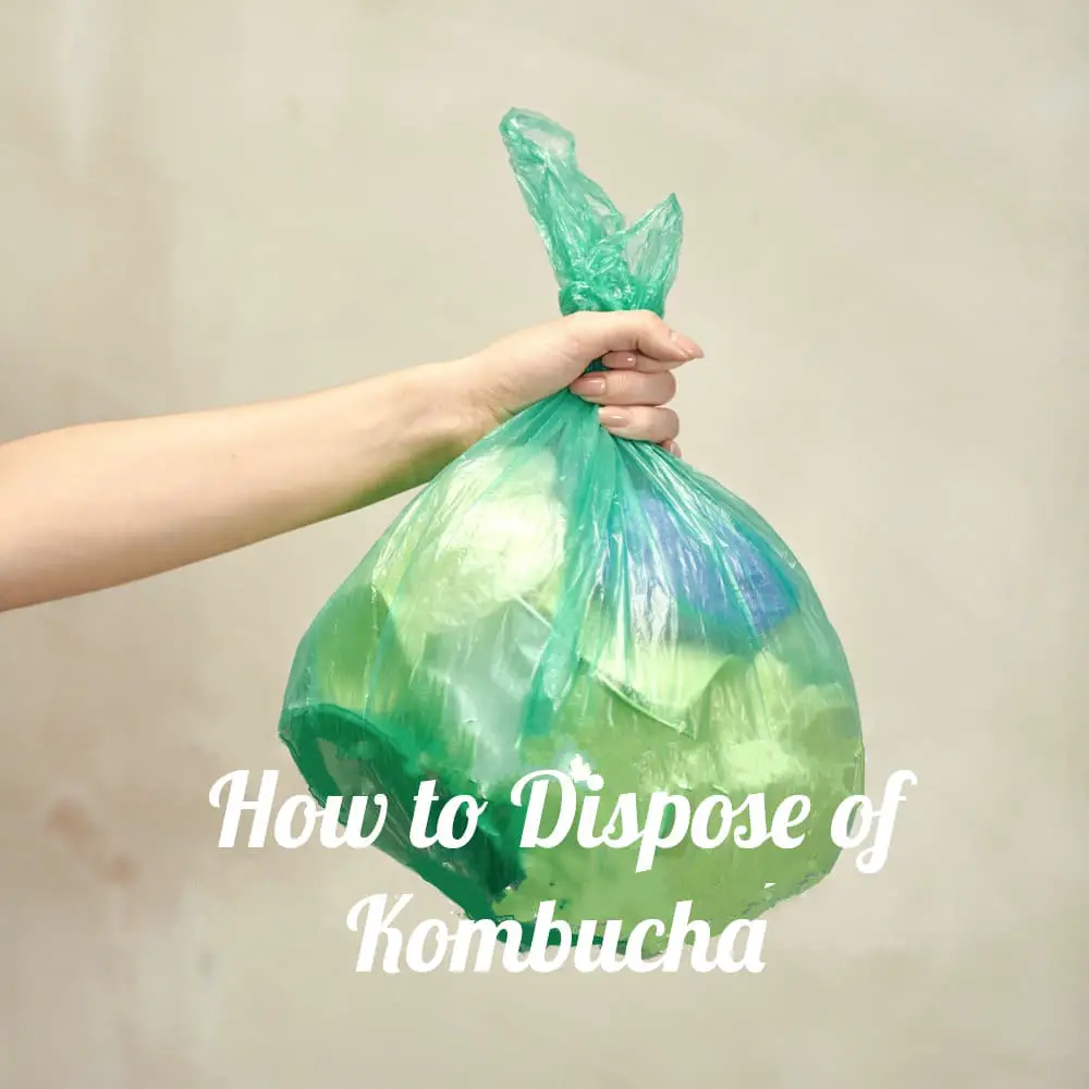 Disposing of kombucha properly
