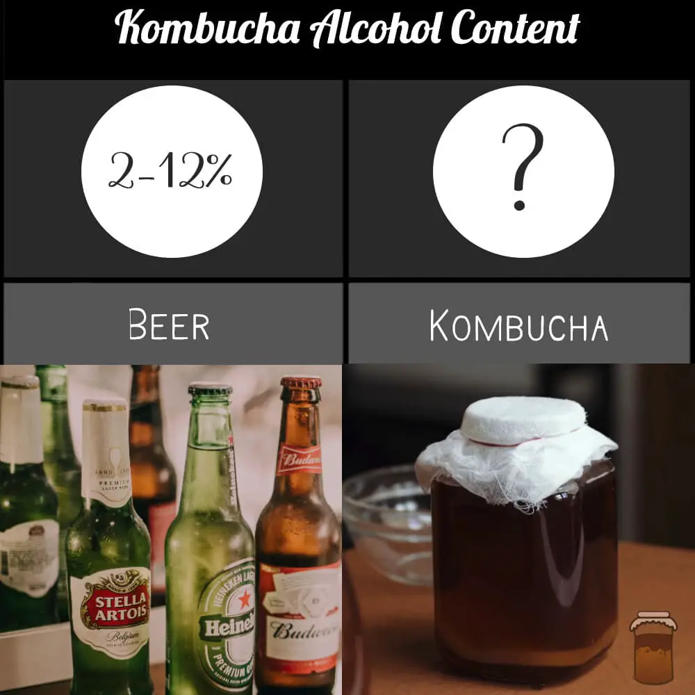 How alcohol is produced in kombucha