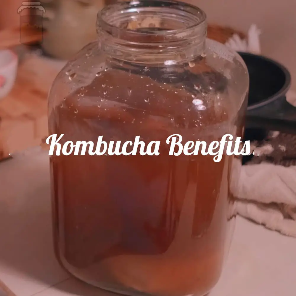20 Possible Benefits of Kombucha