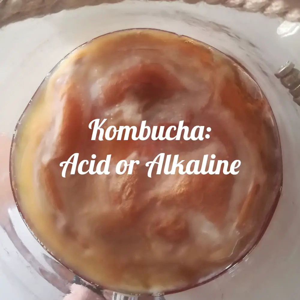 Kombucha acidic or alkaline