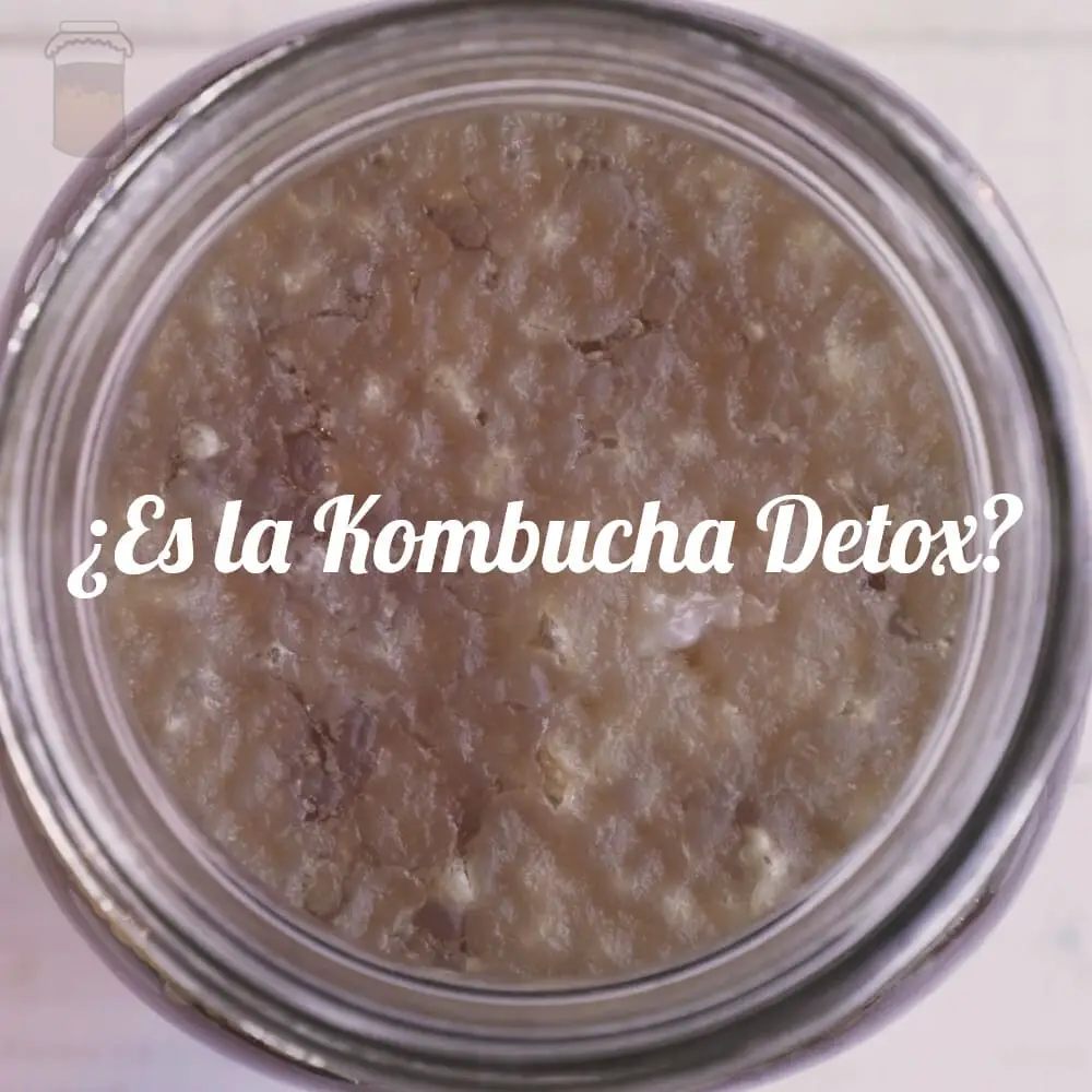 El Consumo de Kombucha para un Proceso Détox