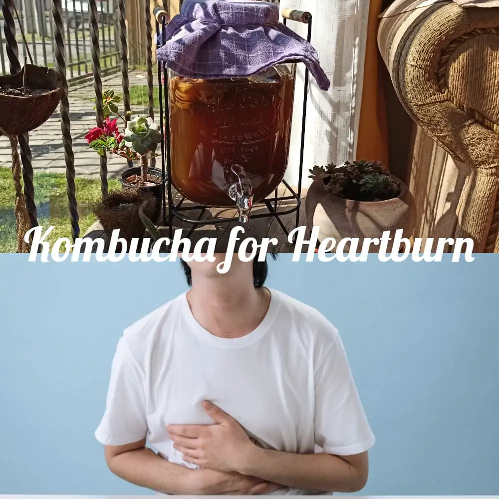 Heartburn and kombucha