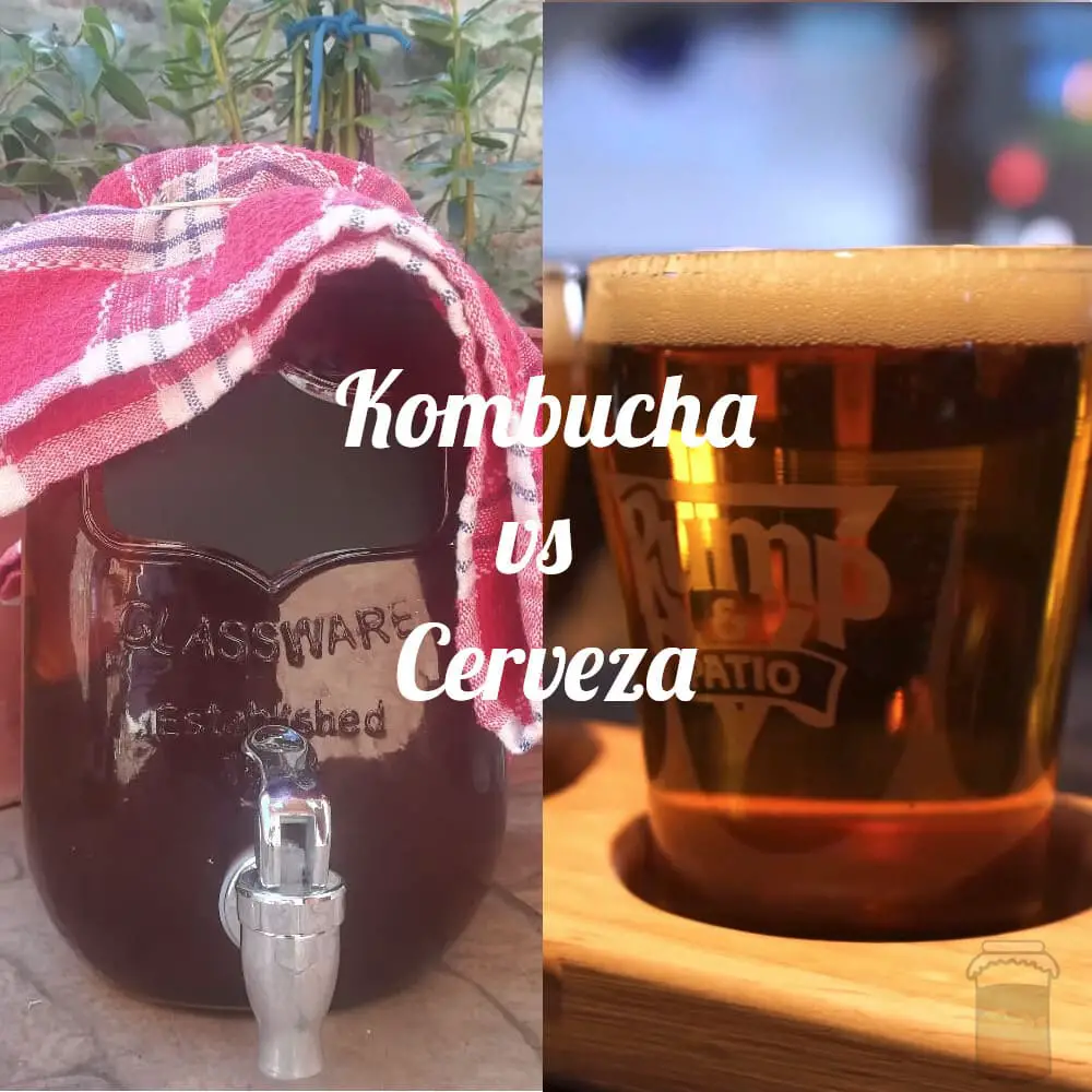 Kombucha vs Cerveza