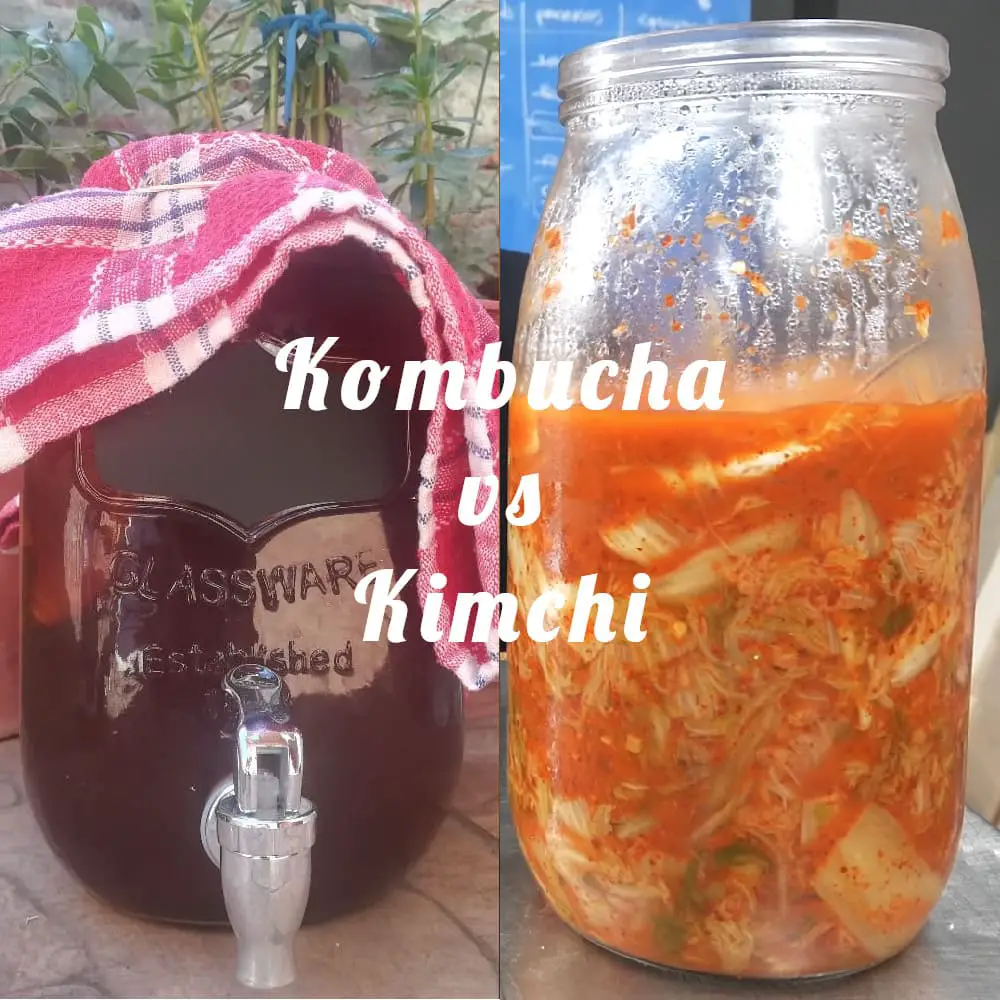 Comparativa entre la kombucha y el kimchi