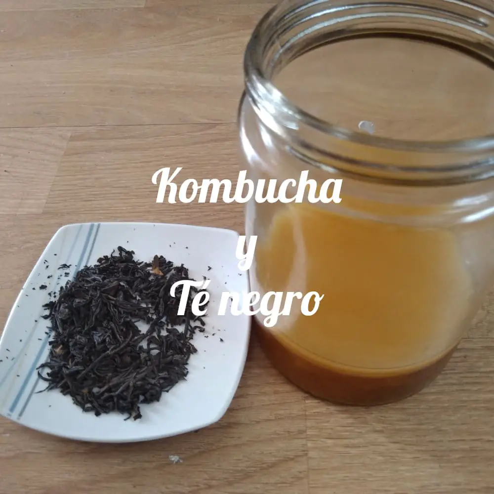 Kombucha y el té negro