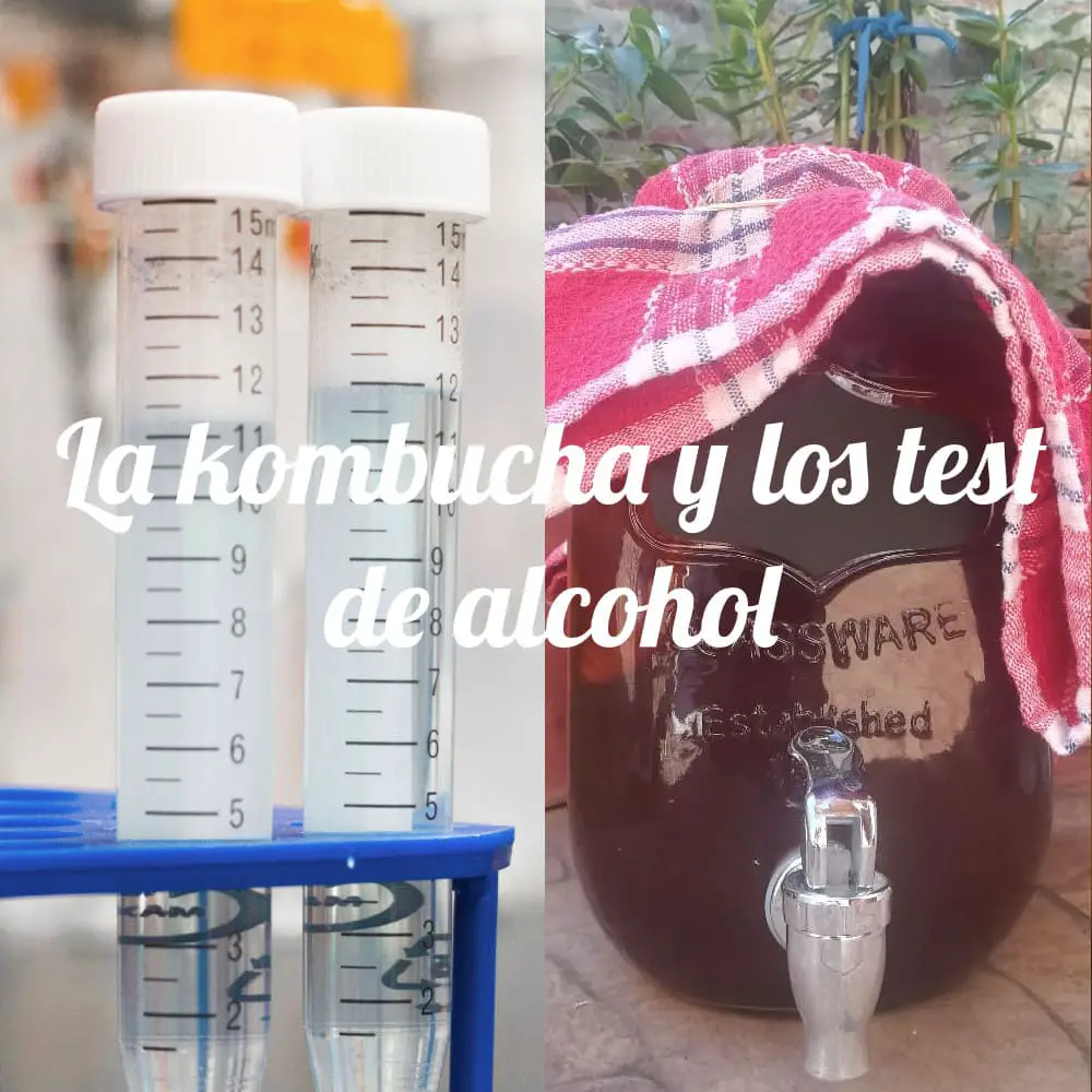 Kombucha y los test de alcohol
