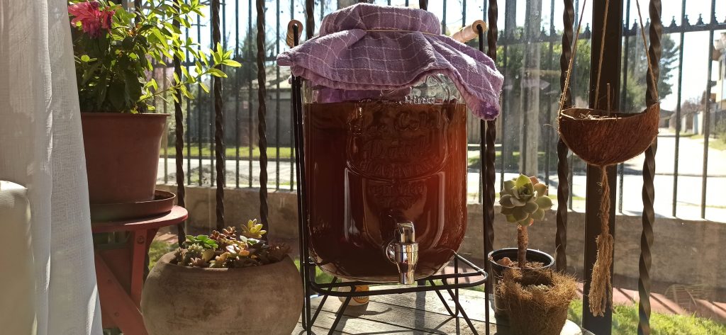 Una jarro de kombucha casera con brillo de sol