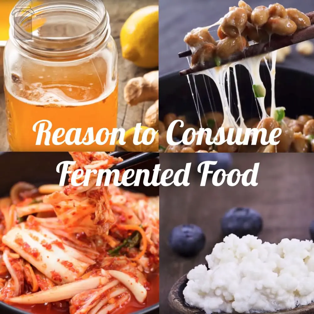 Why You Should Consume Fermented Food Regurarly