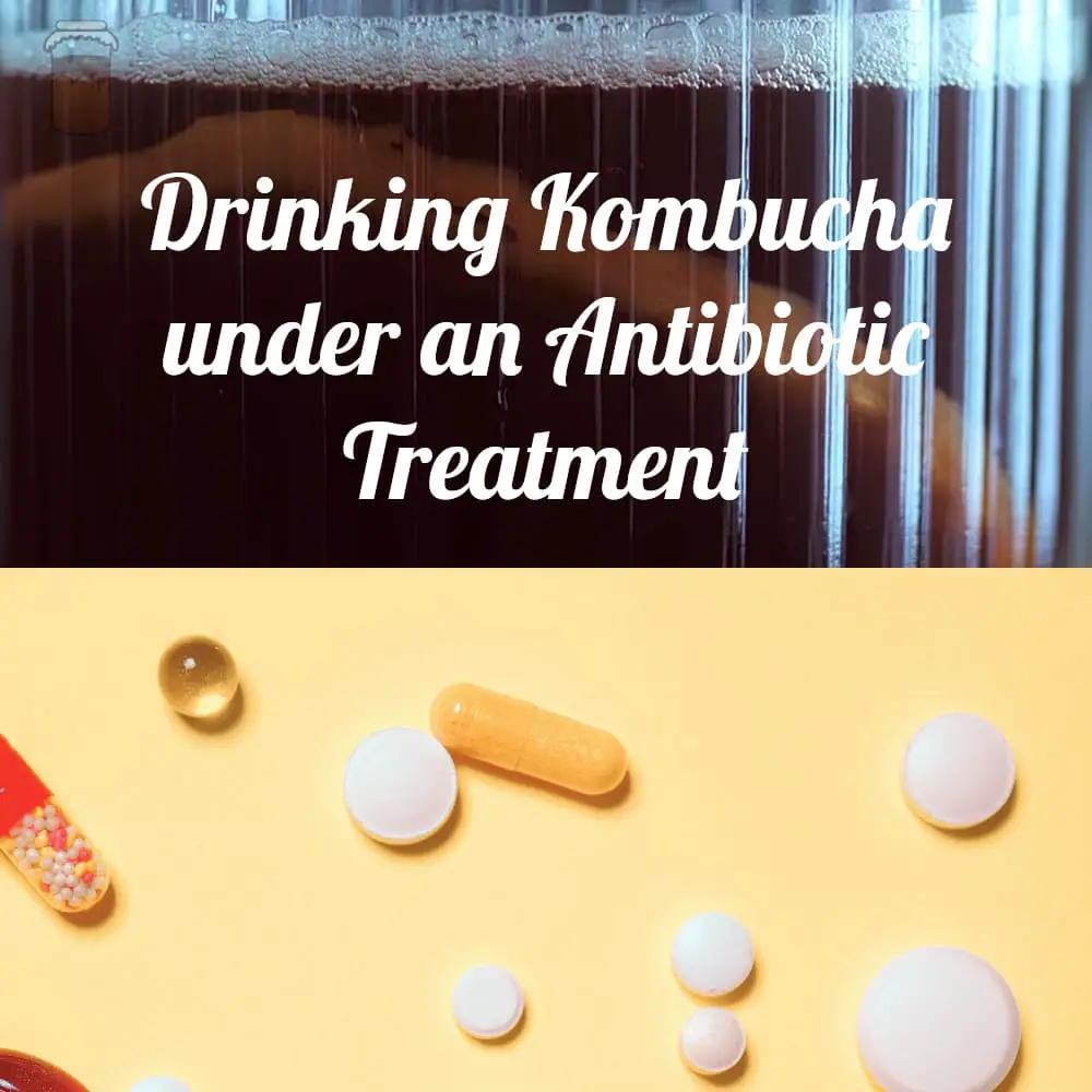 Drinking Kombucha under an Antibiotic Treatment