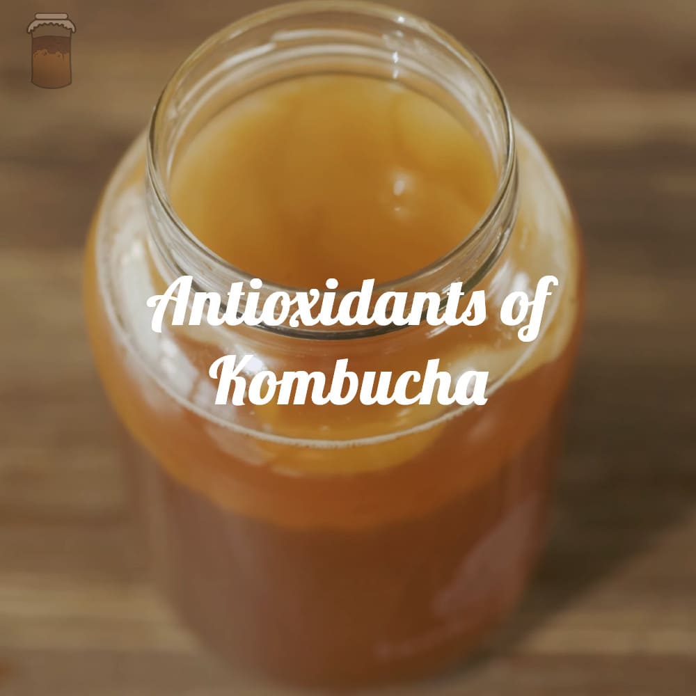 What are the antioxidants in kombucha?