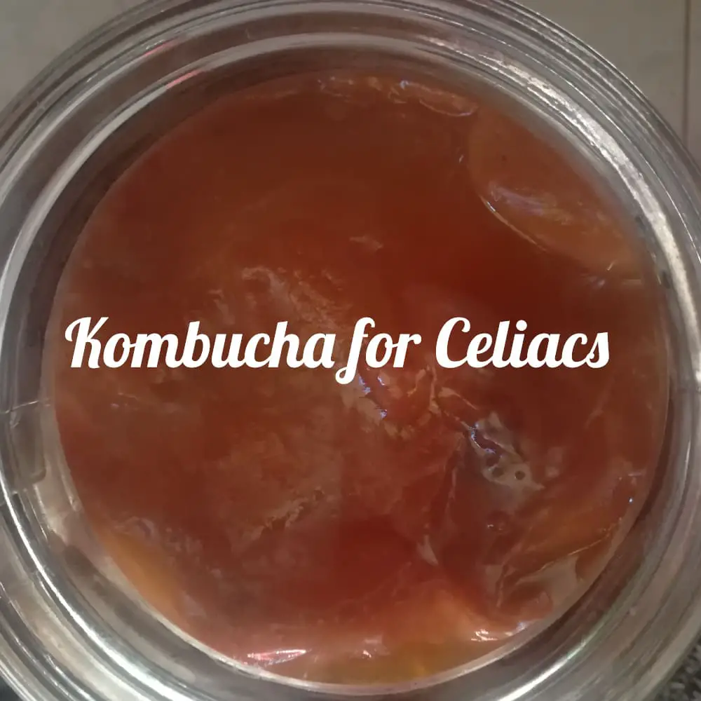 The gluten content of kombucha