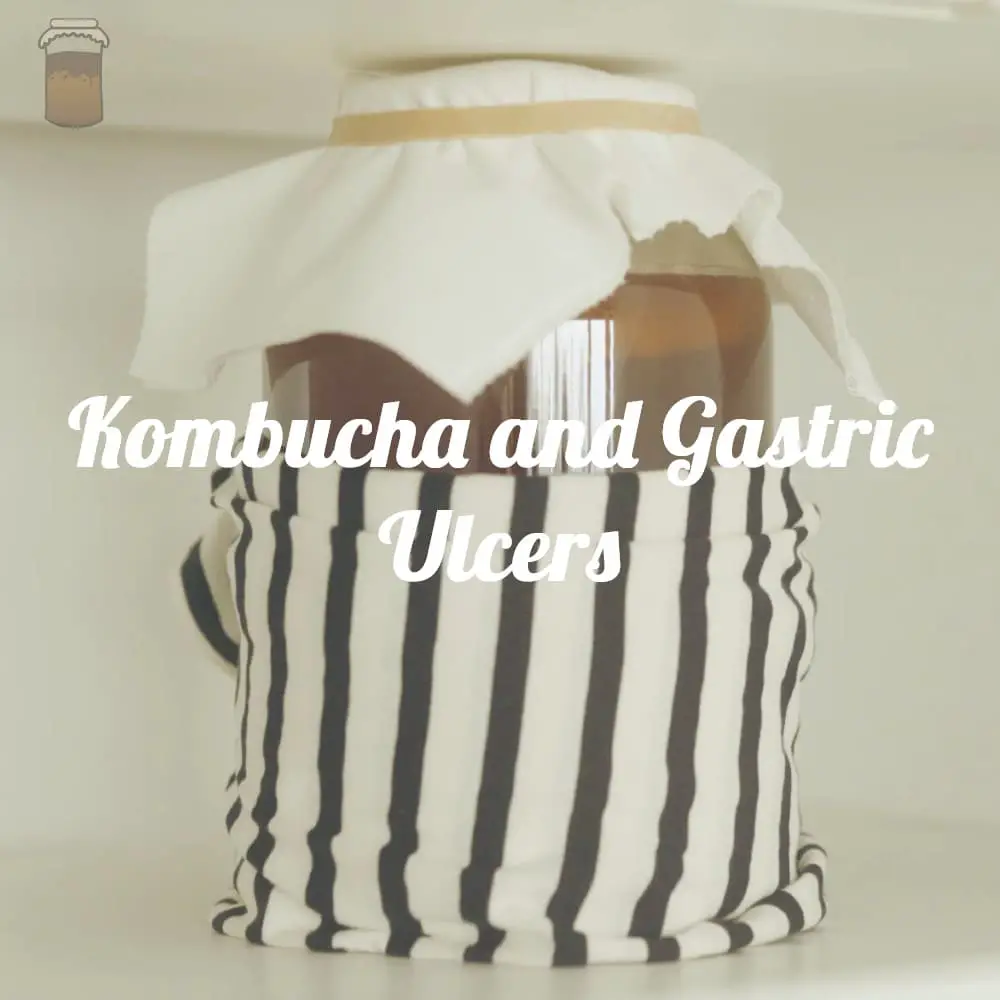 The relationship between kombucha and gastric ulcers