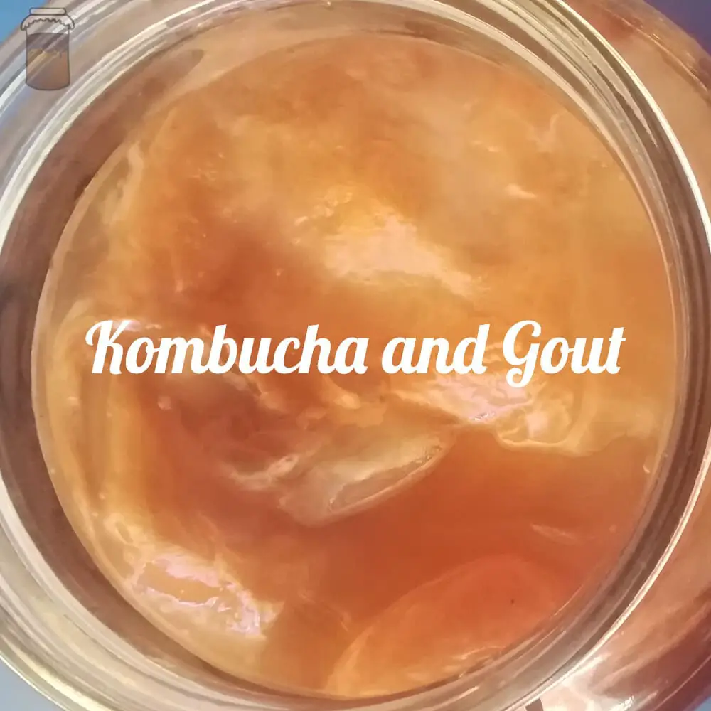 If I have gout, can I drink kombucha?