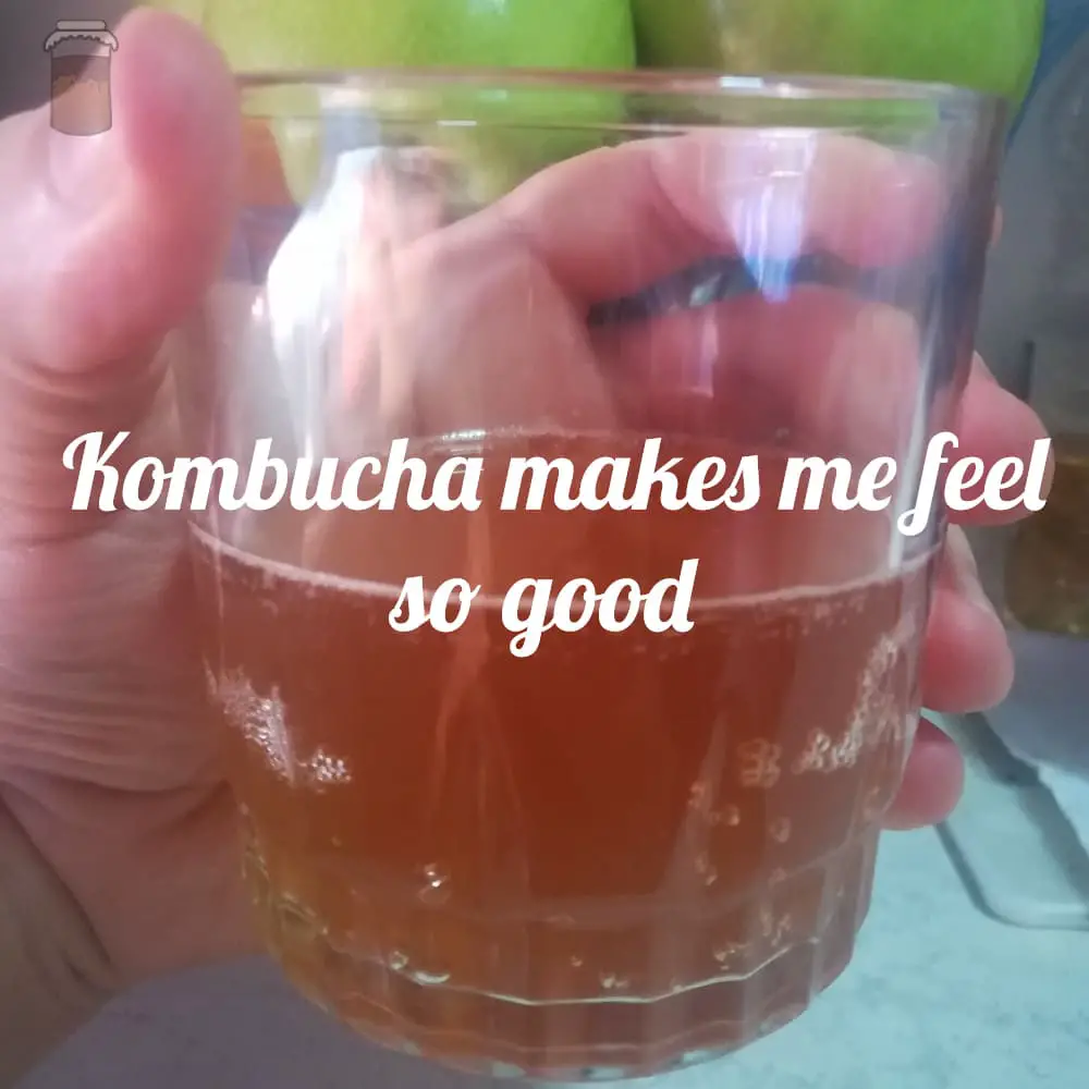 kombucha make me feel so good