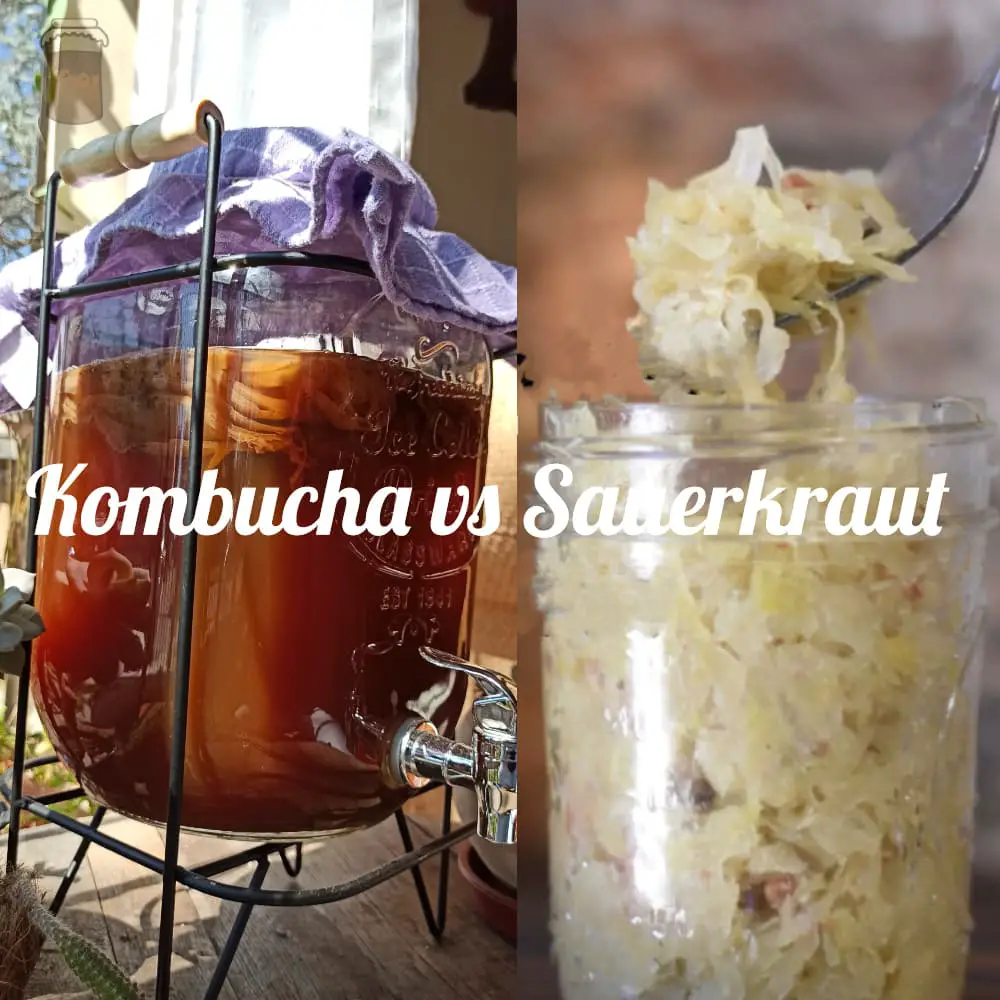 Comparison between kombucha and sauerkraut