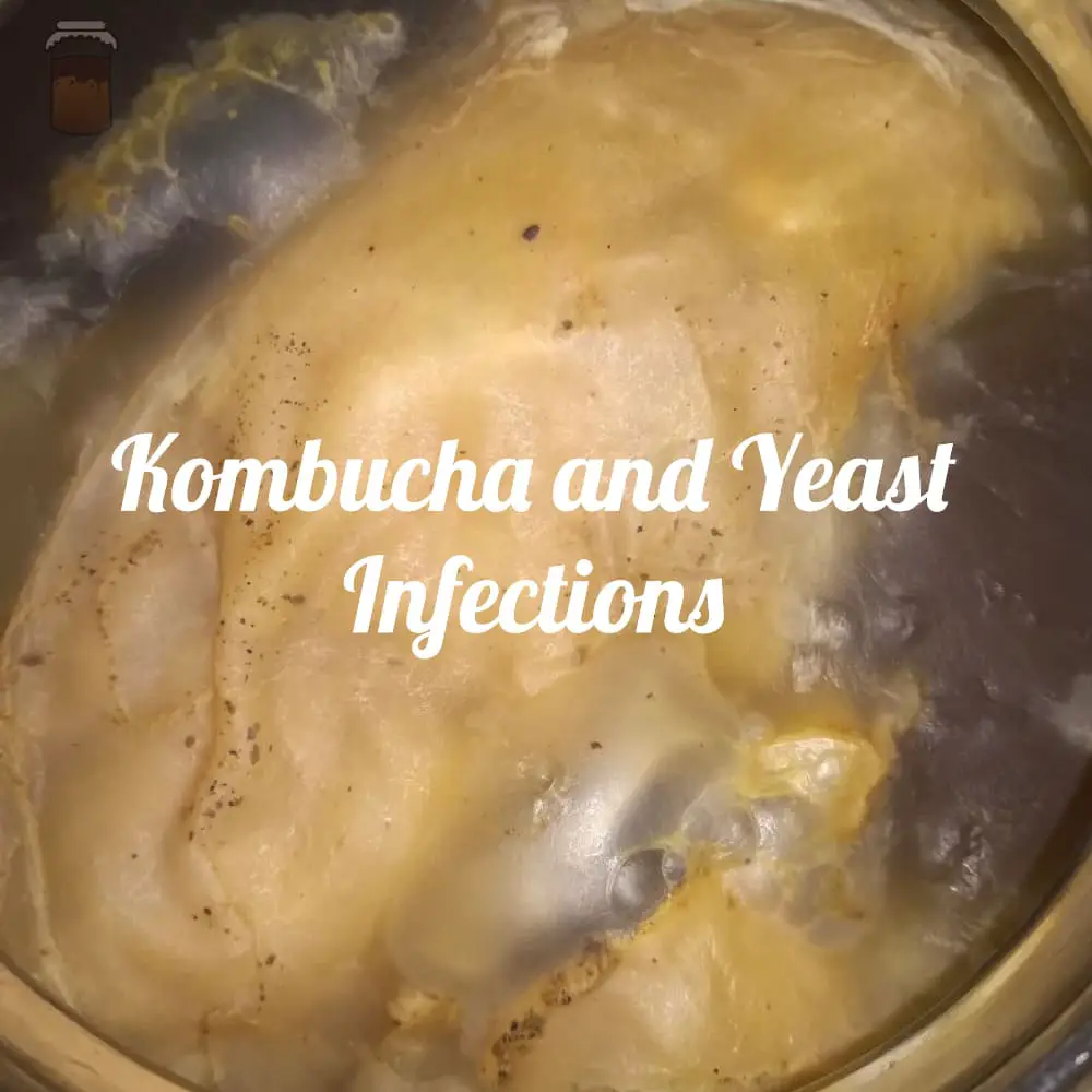 kombucha for yeast infections